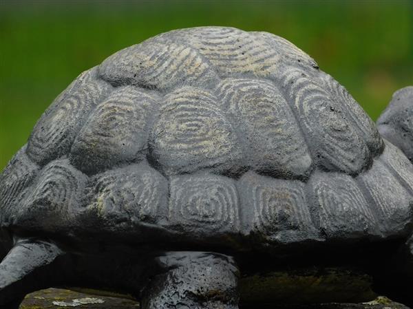 Grote foto beeld schildpad gietijzer decoratief beeld tuin en terras tuindecoratie
