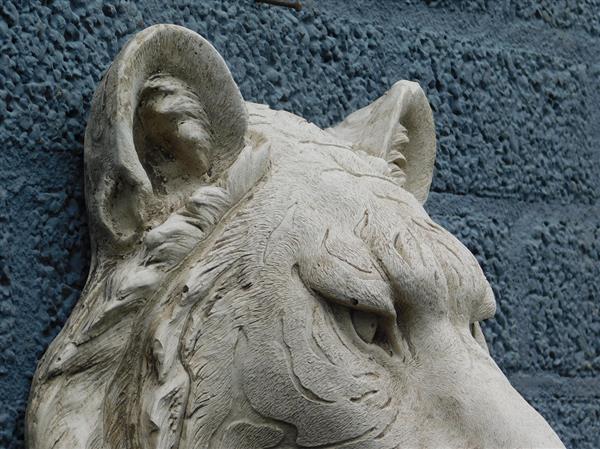 Grote foto grote mooie impressie volle tijgerkop polystein. tuin en terras tuindecoratie