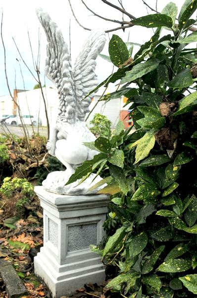 Grote foto zeer forse knielende engel met vleugels omhoog op grote sokkel zeer fors tuin en terras tuindecoratie