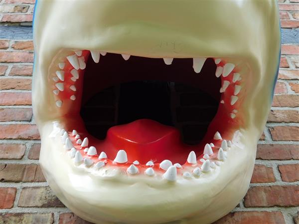 Grote foto grote haaienkop met opengesperde bek. laatste tuin en terras tuindecoratie