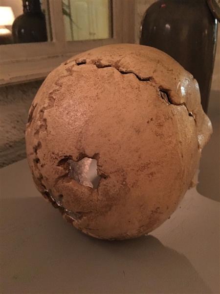 Grote foto grote anatomische schedel gietijzer white rust huis en inrichting woningdecoratie