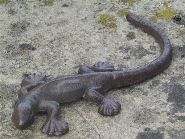 Grote foto salamander hagedis gemaakt van gietijzer huis en inrichting woningdecoratie