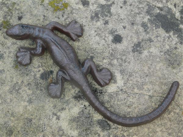 Grote foto salamander hagedis gemaakt van gietijzer huis en inrichting woningdecoratie