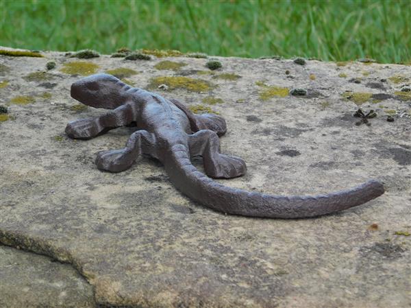 Grote foto salamander hagedis gemaakt van gietijzer huis en inrichting woningdecoratie