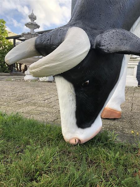 Grote foto mooie sculptuur van een grazende koe prachtig in kleur gezet echte eye catcher tuin en terras tuindecoratie