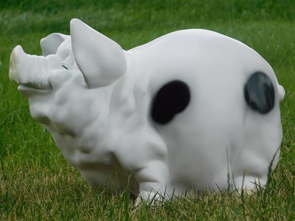 Grote foto spaarvarken xl polystone wit met zwart tuin en terras tuindecoratie