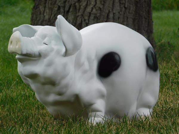 Grote foto spaarvarken xl polystone wit met zwart tuin en terras tuindecoratie