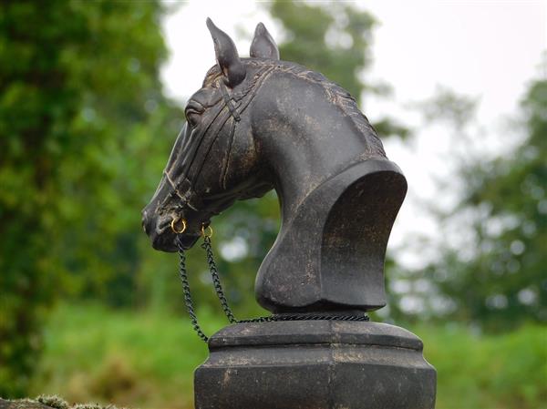 Grote foto beeld paardenhoofd met teugels polystone tuin en terras tuindecoratie