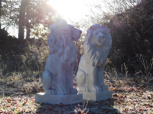 Grote foto set leeuwen links en rechts kijkend polystone wit tuin en terras tuindecoratie