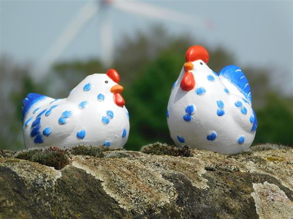 Grote foto haan en kip handbeschilderd keramiek tuin en terras tuindecoratie