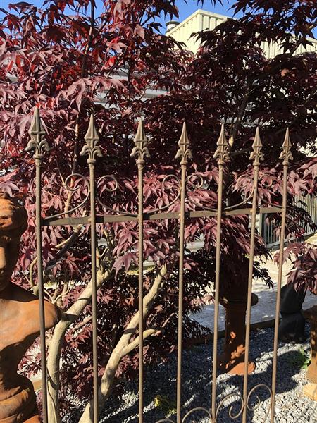 Grote foto prachtig sierhekwerk met franse lelie metaal met 2 x tuinsteek echt mooi tuin en terras hekken en schuttingen