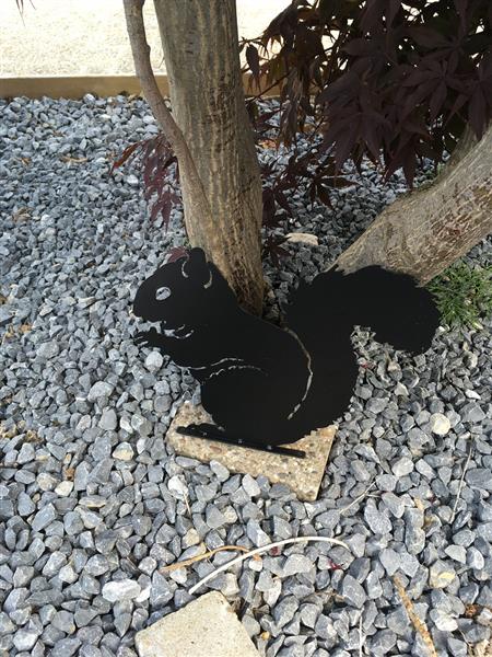 Grote foto prachtig silhouette van een eekhoorn mat zwart metaal tuin en terras tuindecoratie