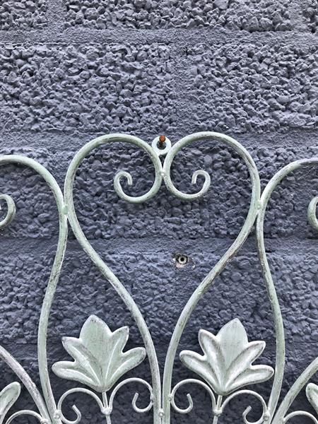 Grote foto mooi wandornament met de franse lelie in het midden tuin en terras tuindecoratie