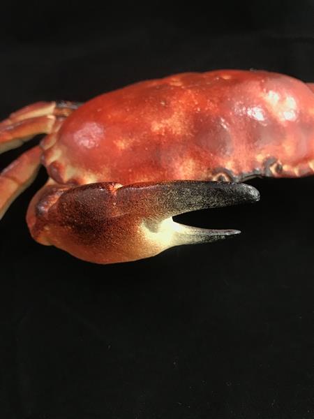 Grote foto een gietijzeren krab als een doos sieradendoos heel leuk tuin en terras tuindecoratie