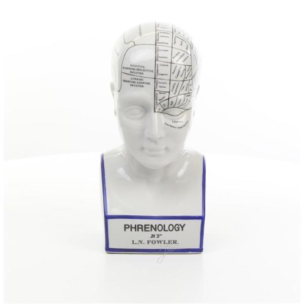 Grote foto een porseleinen phrenology hoofd in blauwe kleuring tuin en terras tuindecoratie