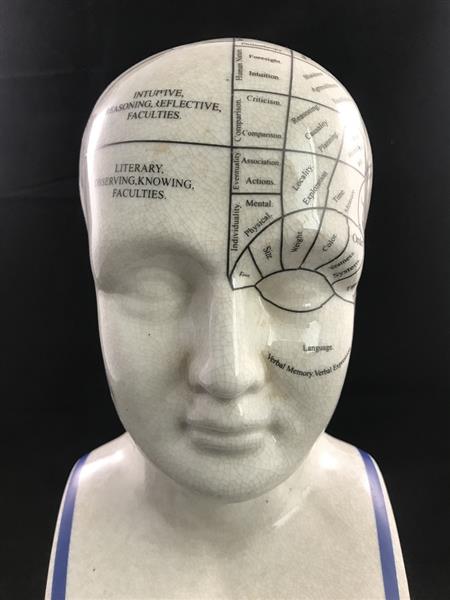 Grote foto een porseleinen phrenology hoofd in blauwe kleuring tuin en terras tuindecoratie