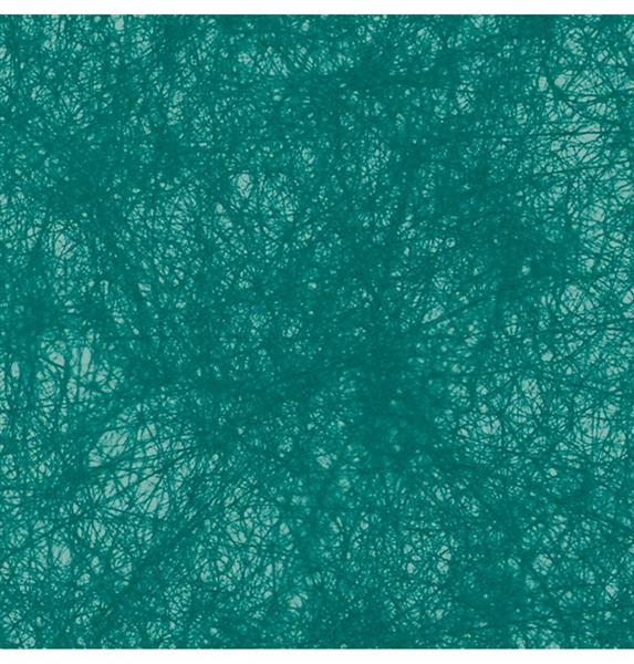 Grote foto turquoise tafelloper 10m verzamelen overige verzamelingen