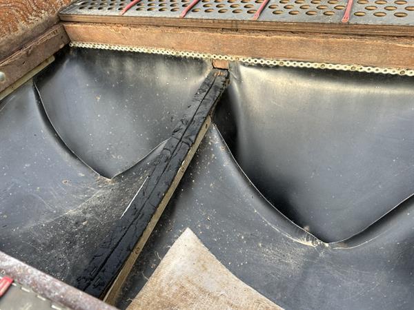 Grote foto compas es 100 vs2 ns2 sorteermachine voor bloembollen en spruiten agrarisch tuinbouw