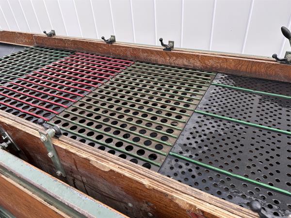 Grote foto compas es 100 vs2 ns2 sorteermachine voor bloembollen en spruiten agrarisch tuinbouw