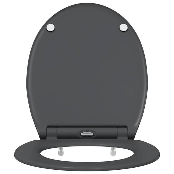 Grote foto vidaxl snelle release toilet geschikt voor zitting antraciet doe het zelf en verbouw sanitair