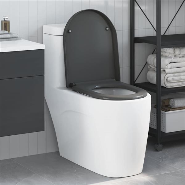 Grote foto vidaxl snelle ontgrendel toiletzitting antraciet 46.2 x 36 x 4.3 cm doe het zelf en verbouw sanitair