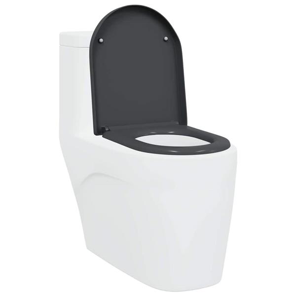 Grote foto vidaxl snelle ontgrendel toiletzitting antraciet 46.2 x 36 x 4.3 cm doe het zelf en verbouw sanitair