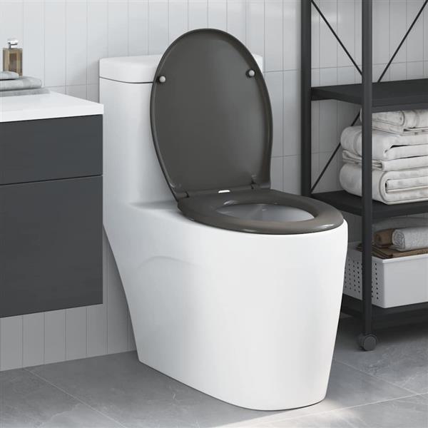 Grote foto vidaxl snelle ontgrendel toiletzitting antraciet 44.8 x 37.3 x 4.2 cm doe het zelf en verbouw sanitair