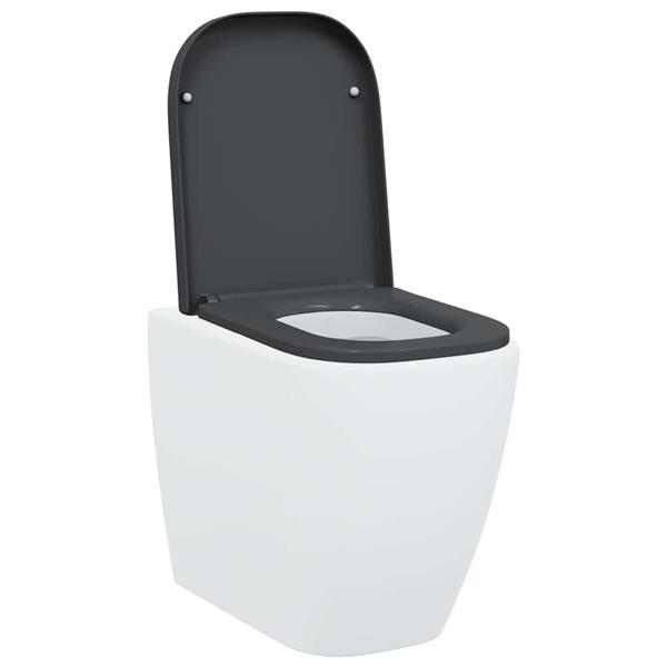Grote foto vidaxl snelle ontgrendel toiletzitting antraciet 44.5 x 35 x 3.6 cm doe het zelf en verbouw sanitair