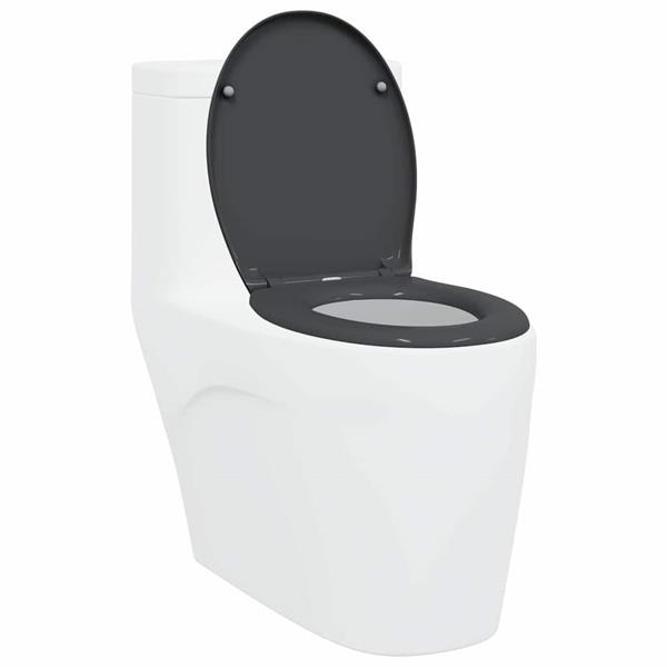 Grote foto vidaxl snelle ontgrendel toiletzitting antraciet 44.8 x 37.3 x 4.2 cm doe het zelf en verbouw sanitair