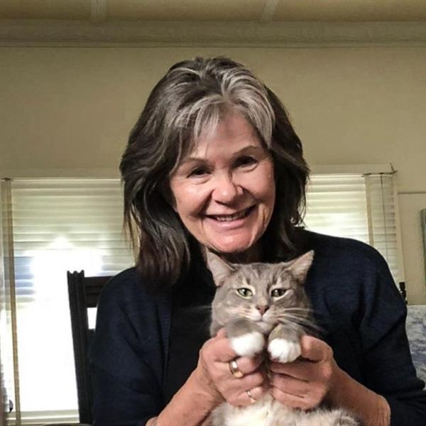 Grote foto het alleen zijn ook zo zat contacten en berichten vrouw zoekt man