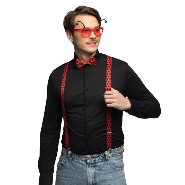 Grote foto set lieveheersbeestje verzamelen overige verzamelingen