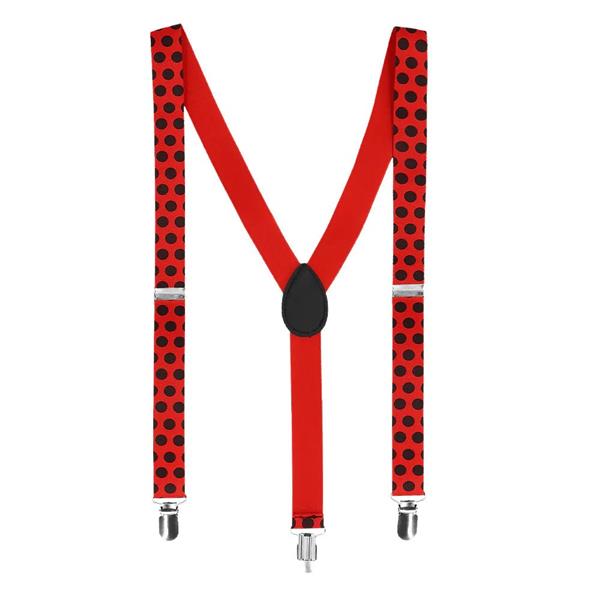 Grote foto set lieveheersbeestje verzamelen overige verzamelingen