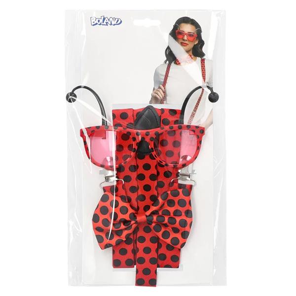 Grote foto set lieveheersbeestje verzamelen overige verzamelingen