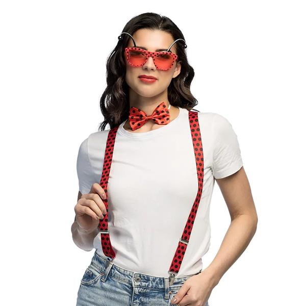 Grote foto set lieveheersbeestje verzamelen overige verzamelingen