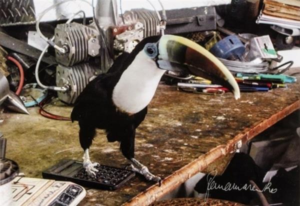 Grote foto nieuw werk van roger raveel en panamarenko antiek en kunst overig