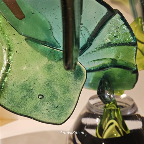 Grote foto in elements we trust earth caractus antiek en kunst overige in antiek gebruiksvoorwerpen