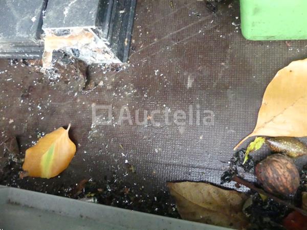 Grote foto 750 kg aluminium dubbelassige aanhangwagen syma sdao1 agrarisch aanhangwagens