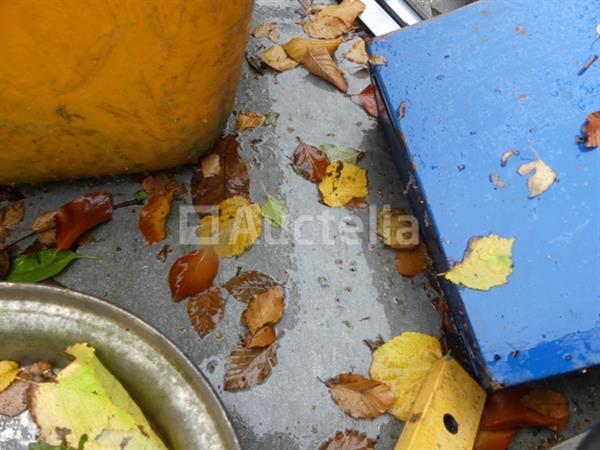 Grote foto aluminium dubbelassige aanhangwagen 500 kg agrarisch aanhangwagens