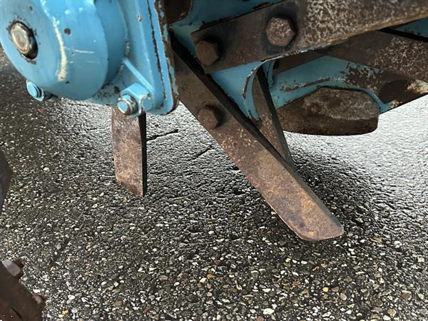 Grote foto prinz dammprinz ruggenfrees aspergefrees agrarisch akkerbouw