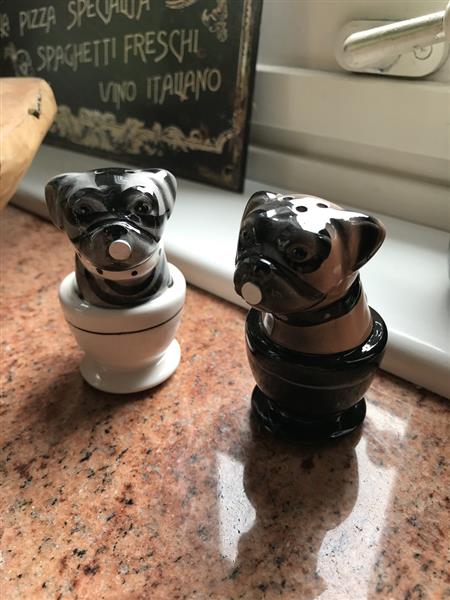 Grote foto zout en peper potjes 2 kussende honden in kopjes erg leuk huis en inrichting woningdecoratie