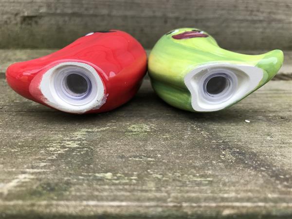 Grote foto zout en peper potjes hot chili peppers erg leuk huis en inrichting woningdecoratie