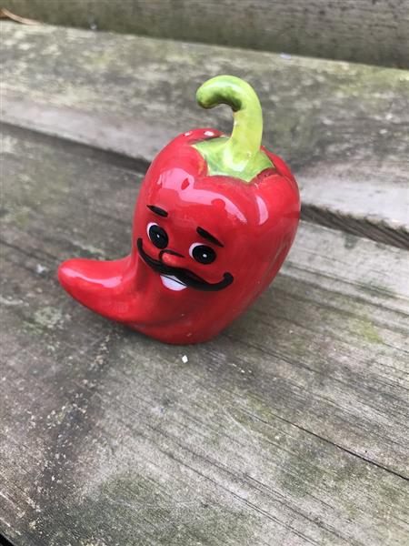 Grote foto zout en peper potjes hot chili peppers erg leuk huis en inrichting woningdecoratie
