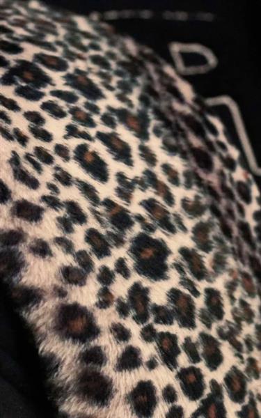 Grote foto rumble 59 ladies sweat jacket the wild one. kleding dames overige kledingstukken