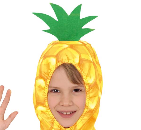Grote foto ananas pak kind verzamelen overige verzamelingen