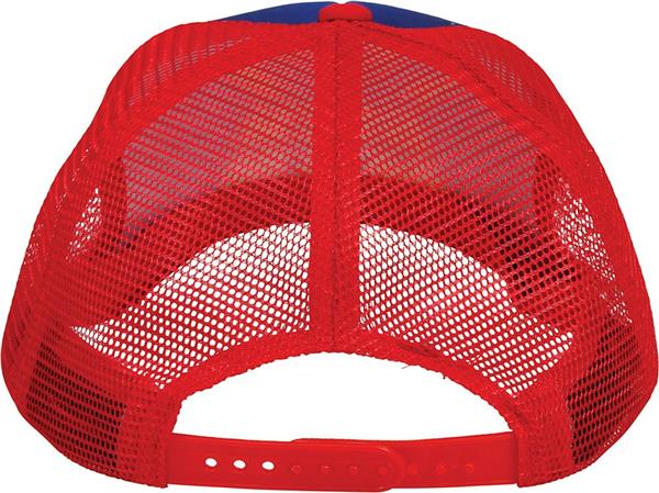 Grote foto bier pet blauw rood verzamelen overige verzamelingen