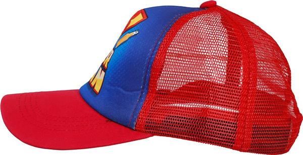 Grote foto bier pet blauw rood verzamelen overige verzamelingen