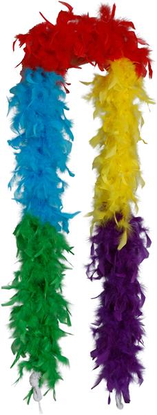 Grote foto regenboog boa verzamelen overige verzamelingen