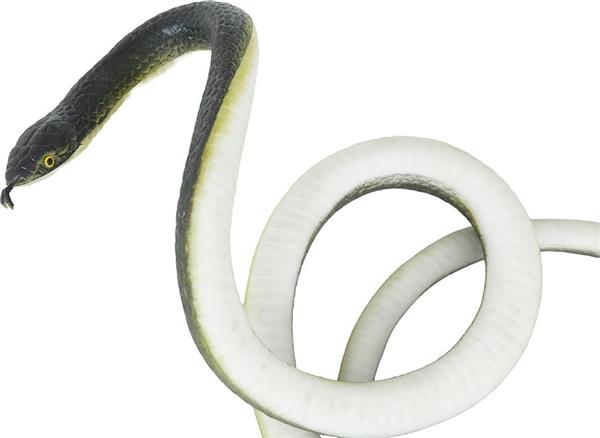 Grote foto zwarte nep slang met clip verzamelen overige verzamelingen