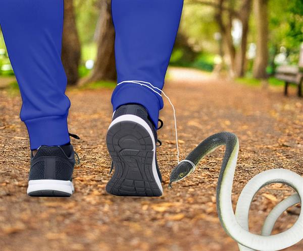 Grote foto zwarte nep slang met clip verzamelen overige verzamelingen
