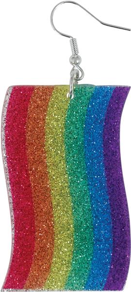 Grote foto rainbow earrings verzamelen overige verzamelingen